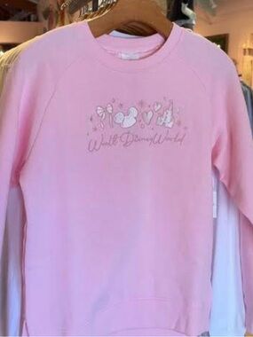 Disney world pullover